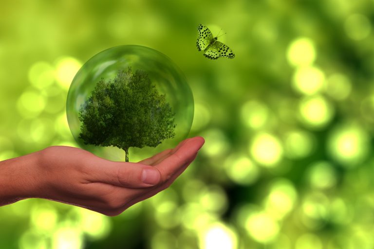 Balance in getting green energy id badges