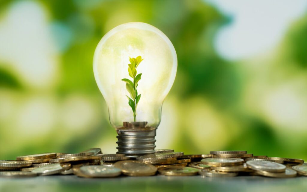 Close up photo of light bulb with growing plant inside and coin stacks as a symbol of money saving